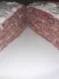 Lasaña de carne