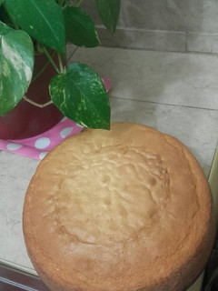 Una foto de Torta sin manteca