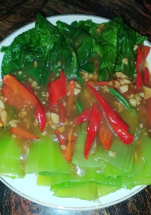 Foto resep Tumis Bok Choy saus tiram