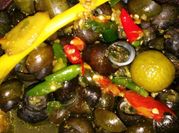 Gambar tutut pedas