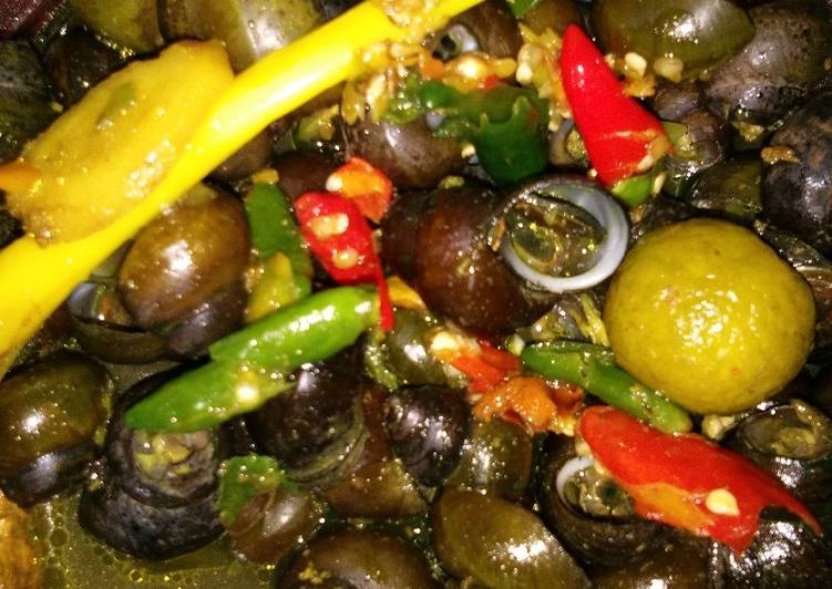 Resep Tutut pedas Lezat