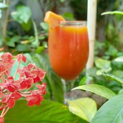 A picture of Sweet Papaya Smoothie.
