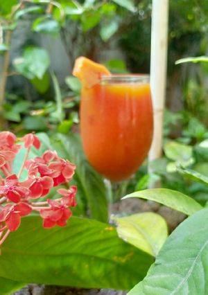 A picture of Sweet Papaya Smoothie.