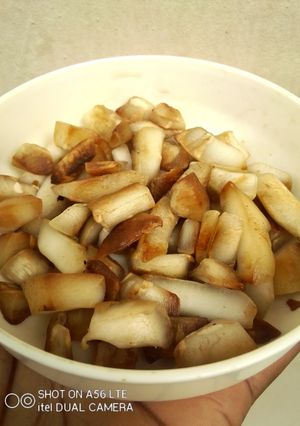 A picture of Fully Toasted Salted Coconut Flakes.