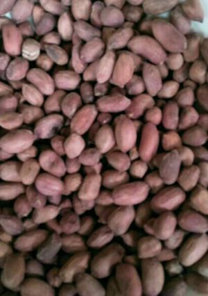 A picture of Boiled groundnuts.