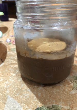 Foto resep Es Krim Cokelat Regal