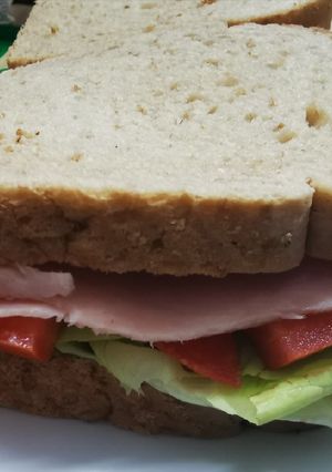 Una foto de Sandwiche de pavita estilo americano