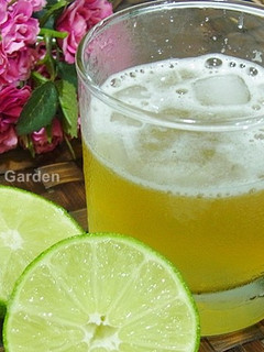 黃金比例-翡翠檸檬茶 的食譜成品照片
