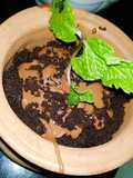 Oreo chocolate mud