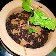 A picture of Oreo chocolate mud.