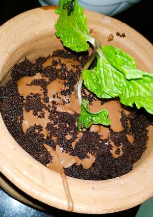 A picture of Oreo chocolate mud.