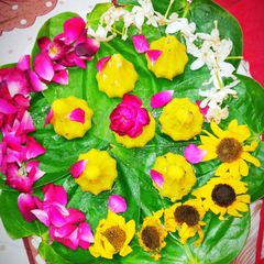 A picture of Coconut Khoya Modak.