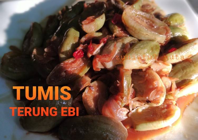 Resep Tumis Terung Ebi yang Lezat Sekali