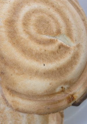 Sandwich bread ainihin hoton girkin