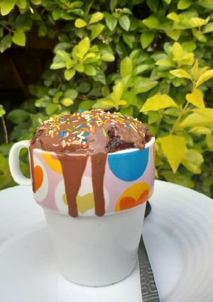 A picture of Chocolate Mug Cake.
