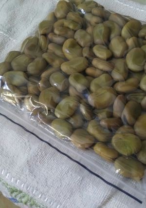 صورة لوصفة تفريزي للفول