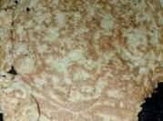 Una foto de panqueques sin leche