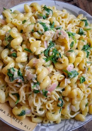 A picture of Macaroni speghittie white sauce spinach bowl.