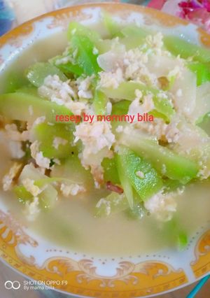 Foto resep Tumis Labu Siam campur telur