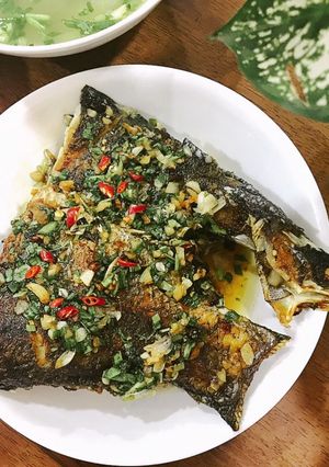 Hình của món Cá chẽm sốt ớt tỏi.