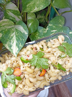 A picture of White macaroni.