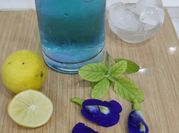 A picture of butterfly pea flower