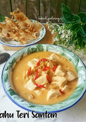 Foto resep Tahu Teri Masak Santan