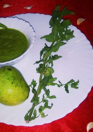 A picture of Kairi Mint Jaggery Chutney.