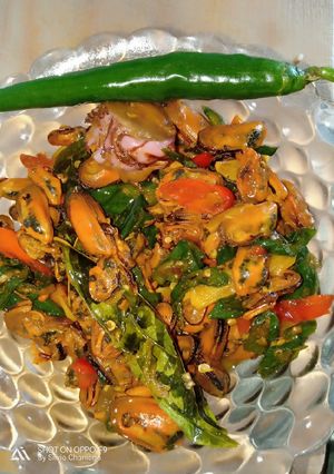 Foto resep Tumis kerang cabai hijau