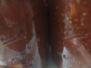 A picture of mild salsa