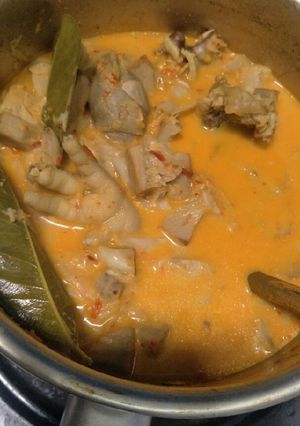 Foto resep Sayur lodeh nangka muda+ceker & tetelan Ayam