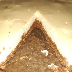 Ginger nut cheesecake A picture of Ginger nut cheesecake.