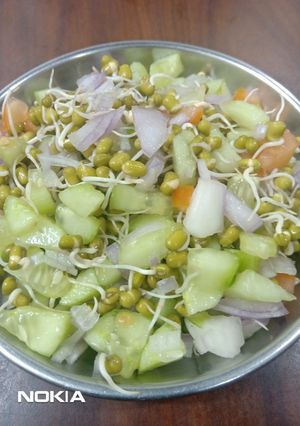 A picture of Sprouts moong salad.