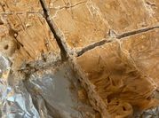A picture of butterscotch bars