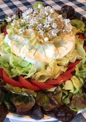 Une photo de Salade feuille de chêne rouge aux tomates roses,mozzarella di buffala et fleurs d ail triquetre