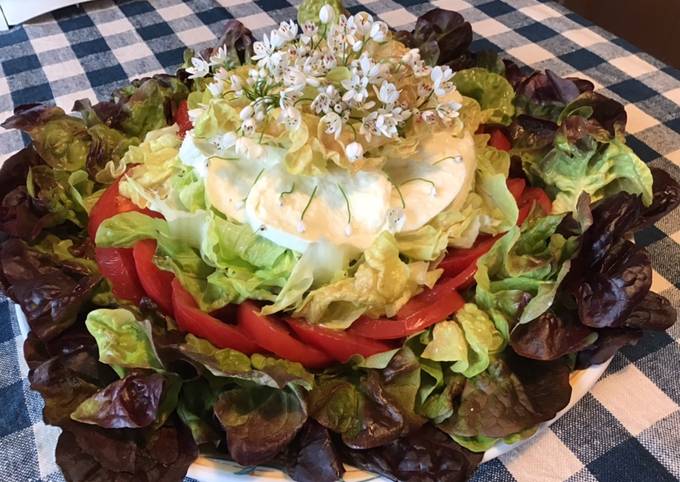 Salade feuille de chêne rouge aux tomates roses,mozzarella di buffala et fleurs d ail triquetre