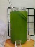 Cucumber mojito