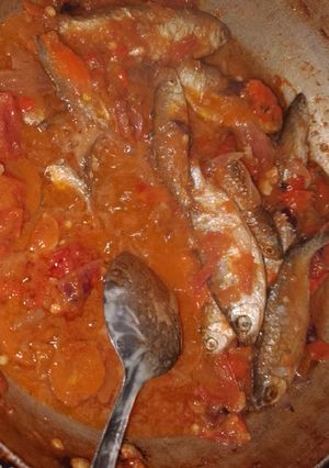 Sauce in kananun Kifi ainihin hoton girkin