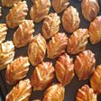 Nastar Daun aka Kukis Fantasi