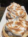 Rogel