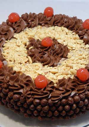 Cerbona csokoládémousse-torta szilvazselével (glutén-, tej-, tojásmentes, sütés nélkül készíthető) recept fotója