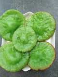 Kue Cucur Pandan