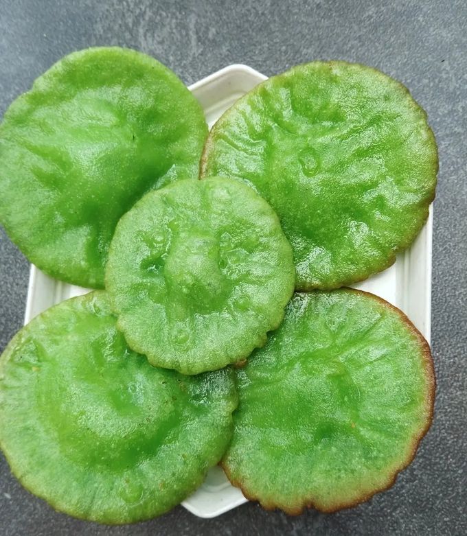 Foto resep Kue Cucur Pandan