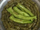 محشي ورق العنب