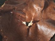A picture of cream cheese crepes
