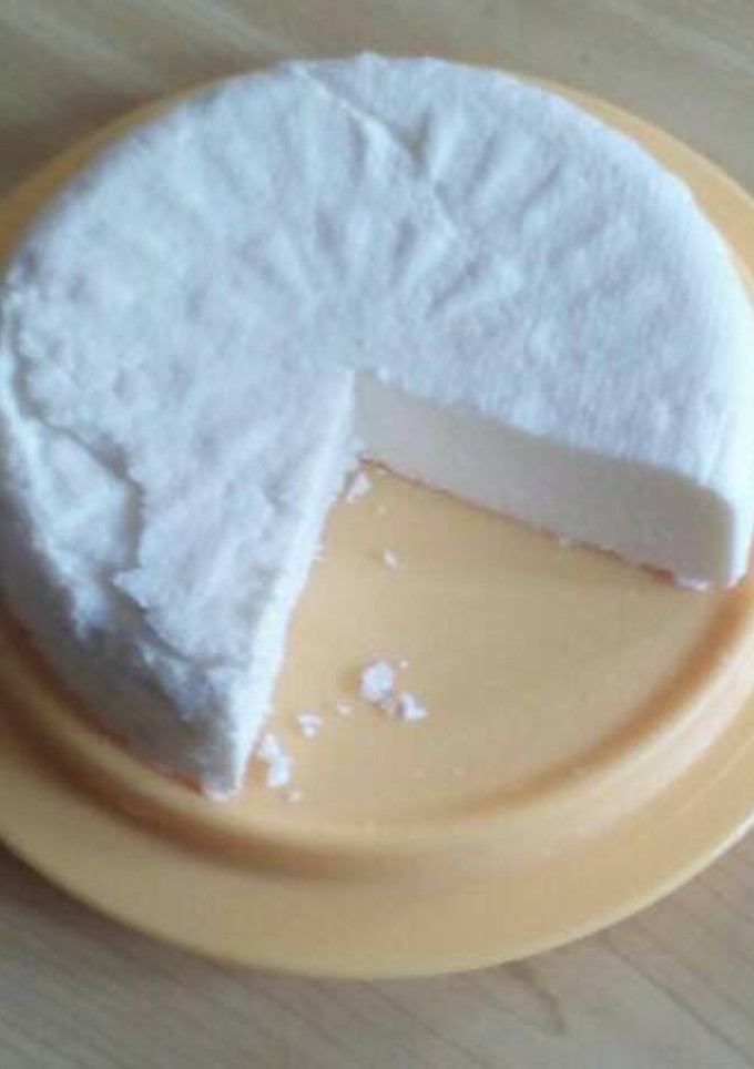Una foto de Queso fresco casero