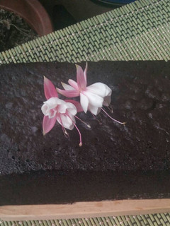 Foto resep Sponge cake coklat lembut irit