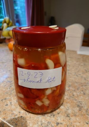 A picture of Fermented Hot Pepper Sauce - base recipe.