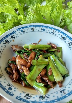 Foto resep Tumis cumi asin pakcoy