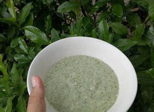 Foto resep Bubur MPASI Daun Kelor dan puyuh 6M+